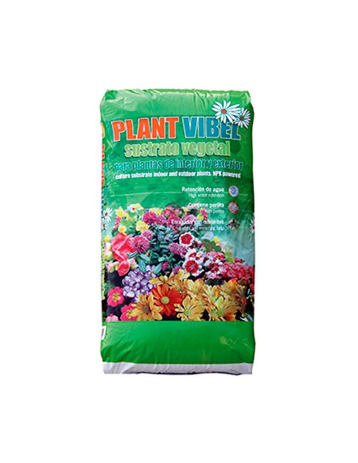 plant vibel